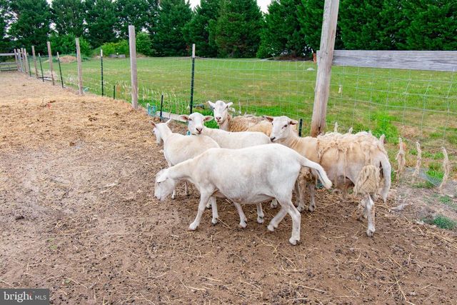 22408 HOG CREEK RD, Preston, MD 21655