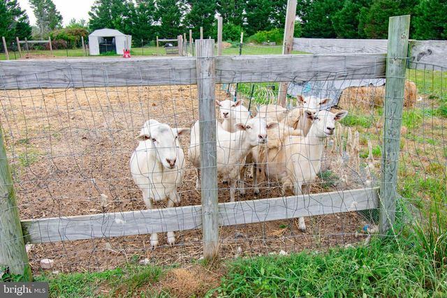 22408 HOG CREEK RD, Preston, MD 21655