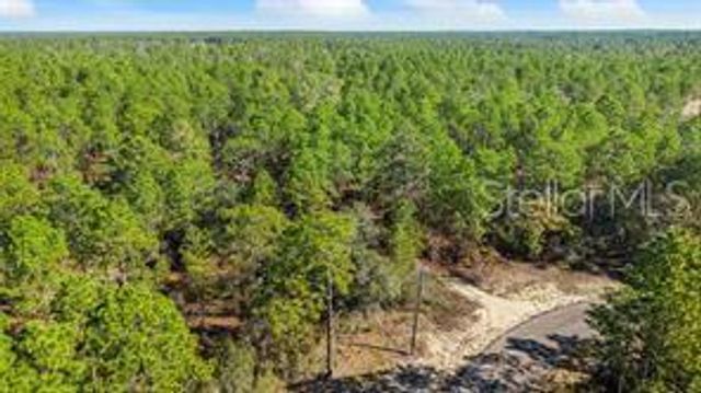 8941 N FARRINGTON DRIVE, Citrus Springs, FL 34433