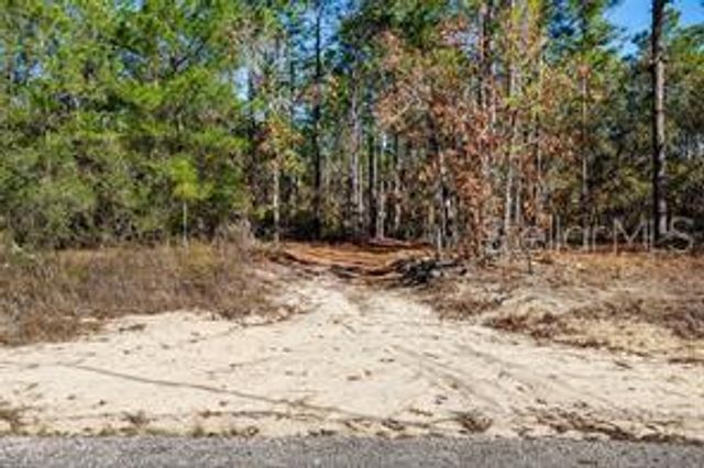 8941 N FARRINGTON DRIVE, Citrus Springs, FL 34433
