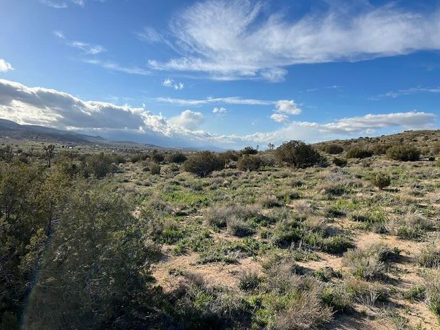 0 Fort Tejon Road, Pearblossom, CA 93553