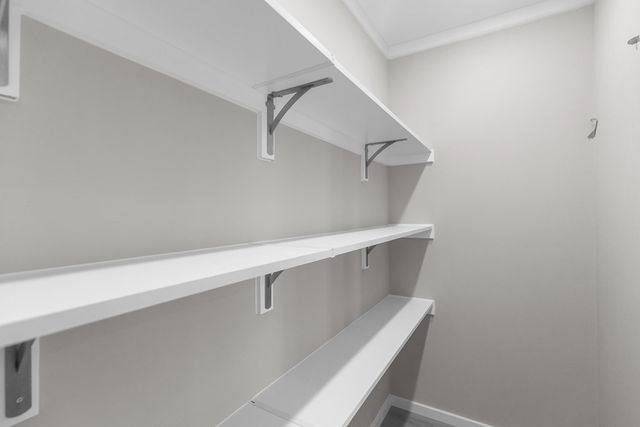 5698 S County Road 49, Slocomb, AL 36375