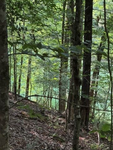 Lot 37 Quiet Waters, Murphy, NC 28906