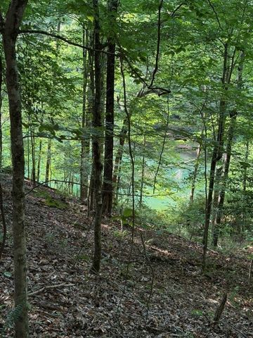 Lot 37 Quiet Waters, Murphy, NC 28906