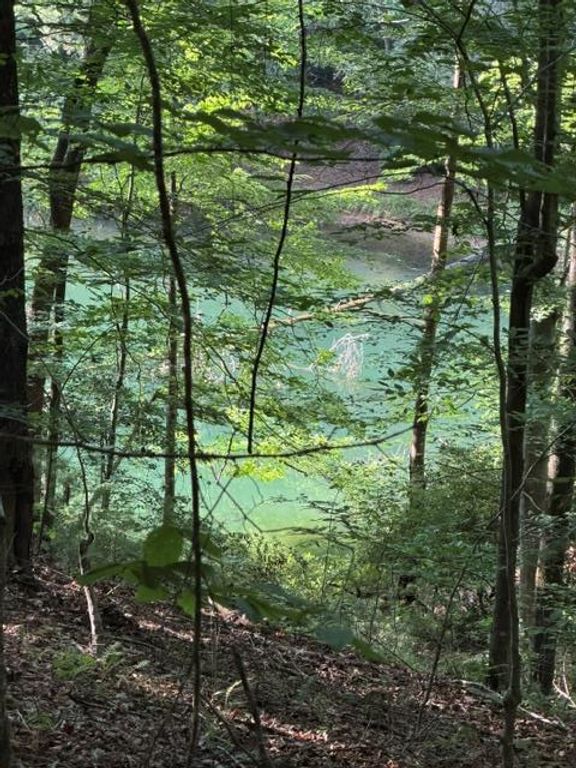 Lot 37 Quiet Waters, Murphy, NC 28906