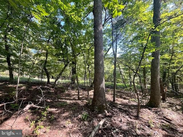 CARDINAL DR., Luray, VA 22835