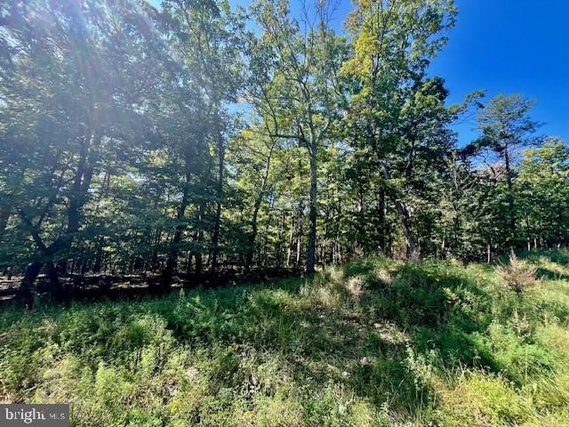 CARDINAL DR., Luray, VA 22835