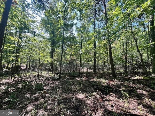 CARDINAL DR., Luray, VA 22835