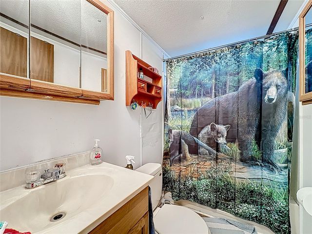 20434 NE 143RD PLACE, Salt Springs, FL 32134