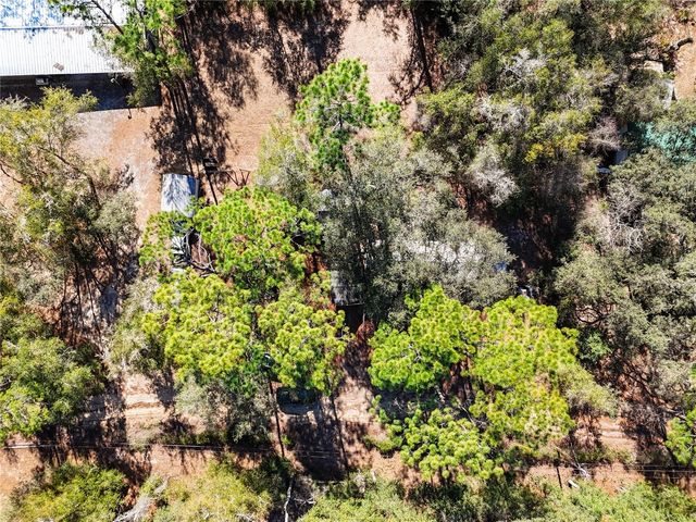 20434 NE 143RD PLACE, Salt Springs, FL 32134