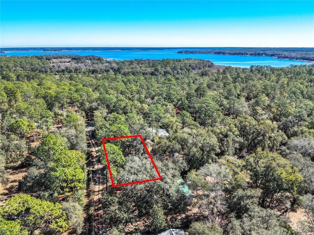 20434 NE 143RD PLACE, Salt Springs, FL 32134