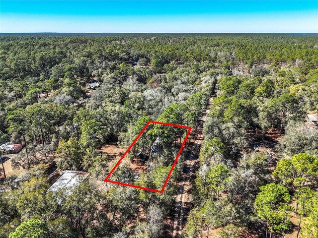 20434 NE 143RD PLACE, Salt Springs, FL 32134