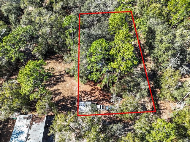 20434 NE 143RD PLACE, Salt Springs, FL 32134