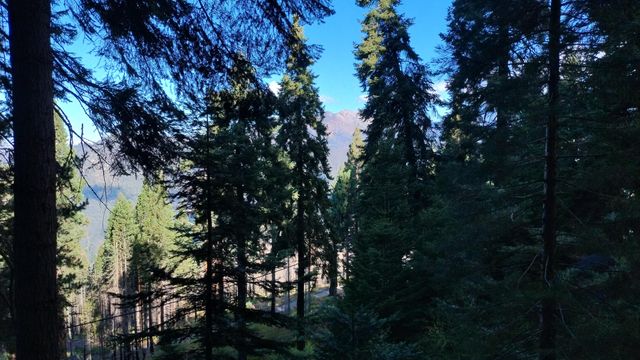 54868 Chinquapin Drive, Sequoia Crest, CA 93265