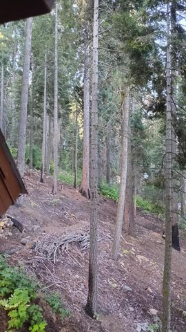 54868 Chinquapin Drive, Sequoia Crest, CA 93265