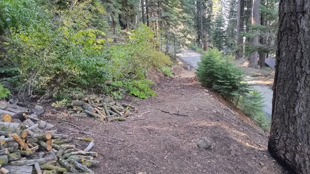 54868 Chinquapin Drive, Sequoia Crest, CA 93265