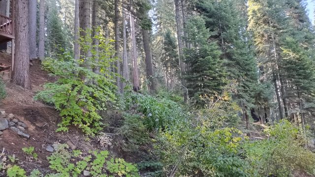 54868 Chinquapin Drive, Sequoia Crest, CA 93265