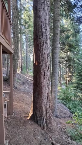 54868 Chinquapin Drive, Sequoia Crest, CA 93265