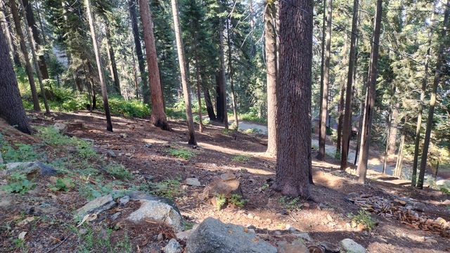 54868 Chinquapin Drive, Sequoia Crest, CA 93265