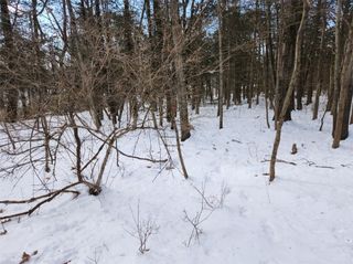Shaw Rd off Oxford Road, Blooming Grove, NY 10914