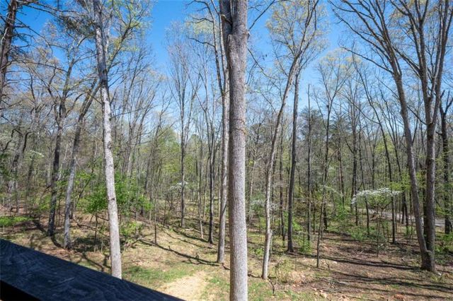 1038 BLUEBIRD Road, Mineral Bluff, GA 30559