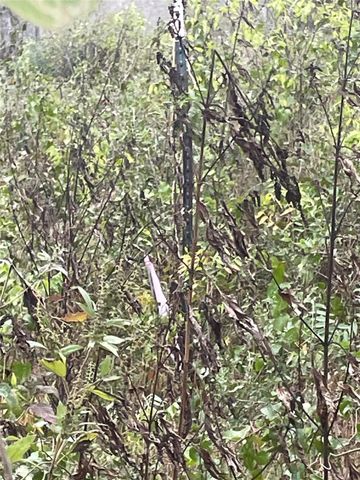 0000 Balch RD, Elgin, TX 78621