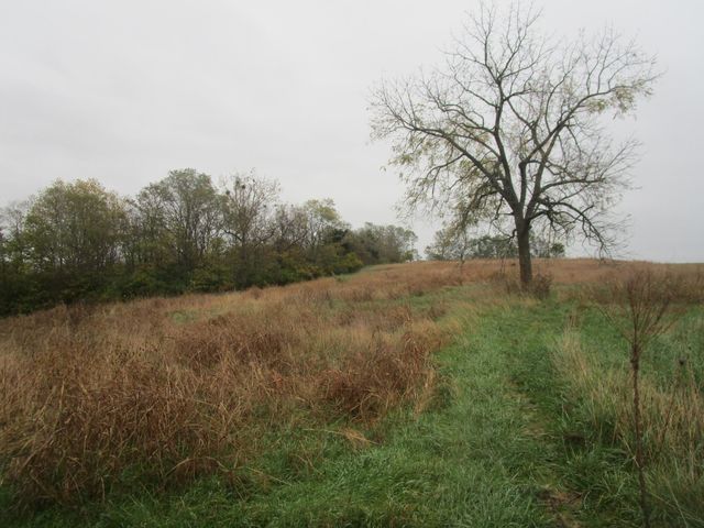 159 Mount Sterling Road, Paris, KY 40361