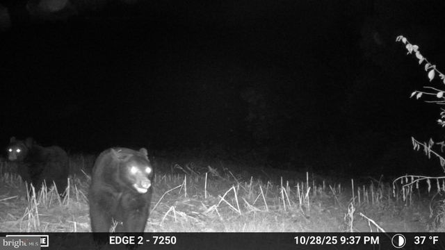 139 RAINBOW DR, Middleburg, PA 17842