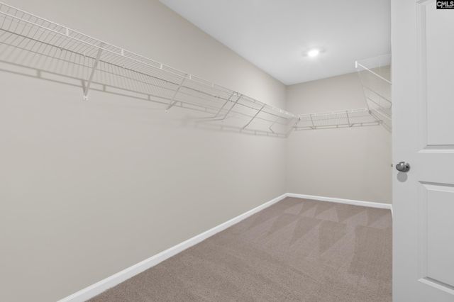 149 Cape Horn Drive, Columbia, SC 29209