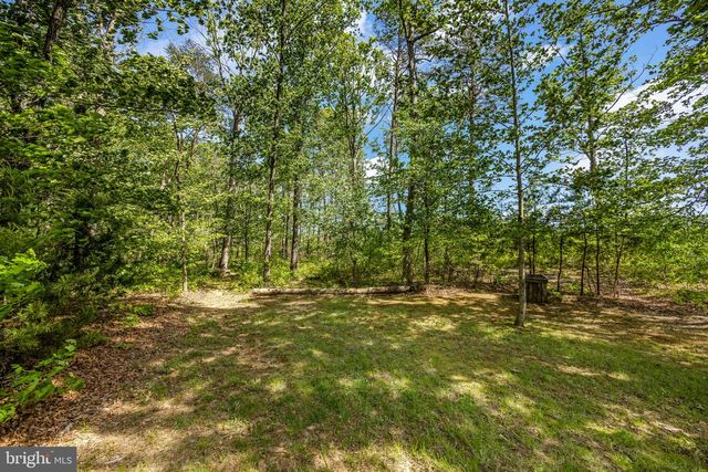 11205 CHANCELLOR MEADOWS LN, Locust Grove, VA 22508