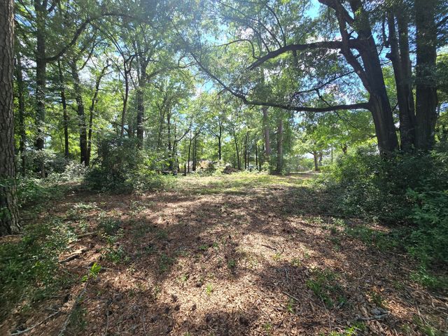 14 N Dukes Street, Summerton, SC 29148