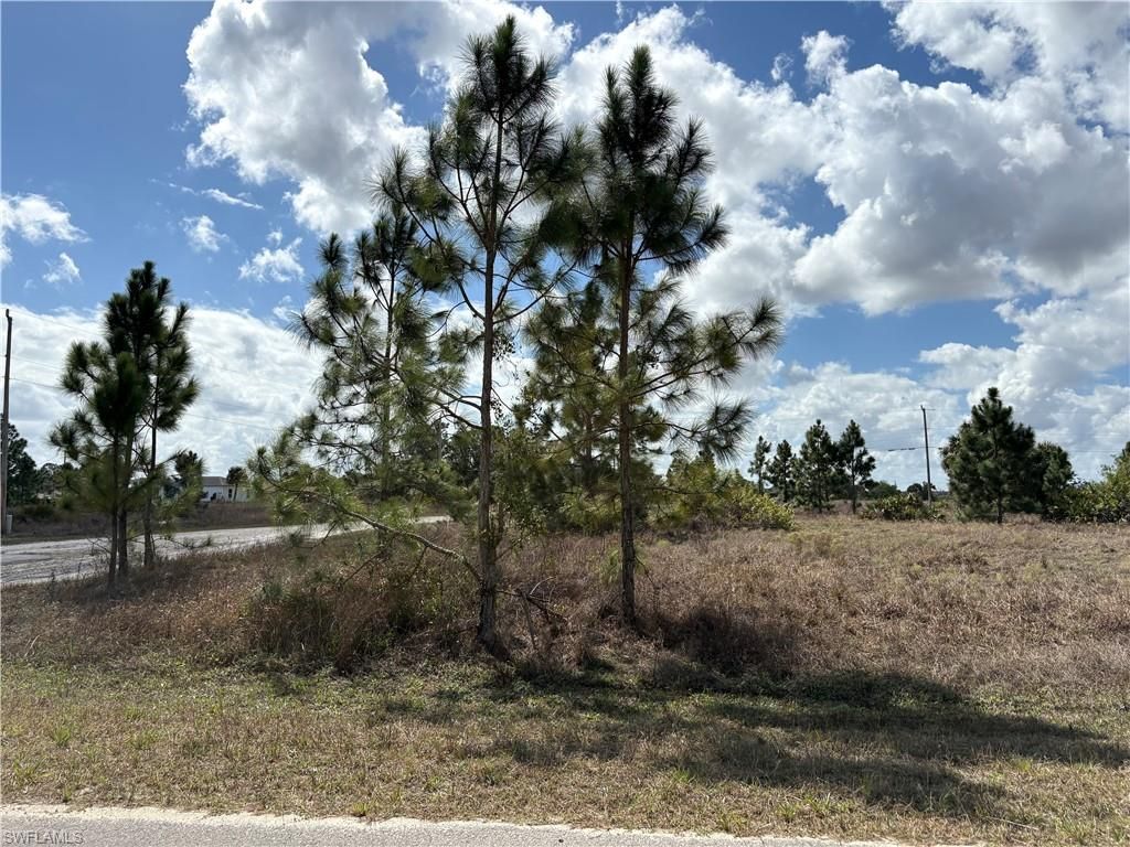 1000 Gleason ST, LEHIGH ACRES, FL 33974 — photo 3