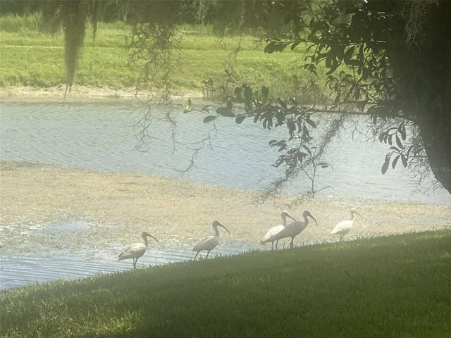 10706 LAQUINTA DRIVE, New Port Richey, FL 34654