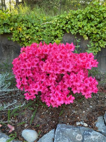 26733 227th Avenue SE, Maple Valley, WA 98038