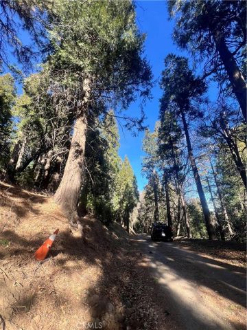 0 Reservoir, Cedarpines Park, CA 92322