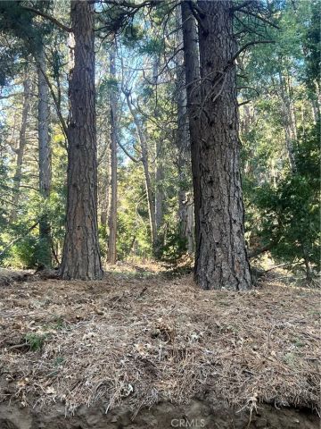 0 Reservoir, Cedarpines Park, CA 92322