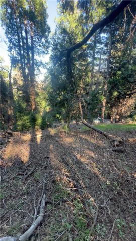 0 Reservoir, Cedarpines Park, CA 92322