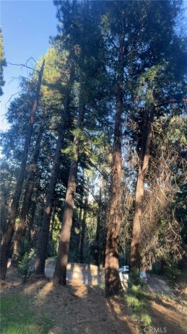 0 Reservoir, Cedarpines Park, CA 92322