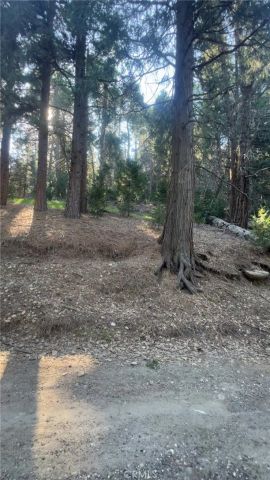 0 Reservoir, Cedarpines Park, CA 92322