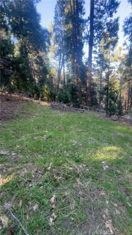 0 Reservoir, Cedarpines Park, CA 92322