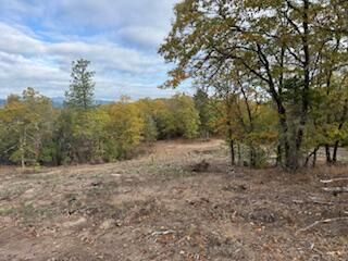 Merlin Sanitarium Road Lot #17, Merlin, OR 97532