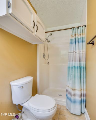 420 Poplar Street, Mount Carmel, TN 37645