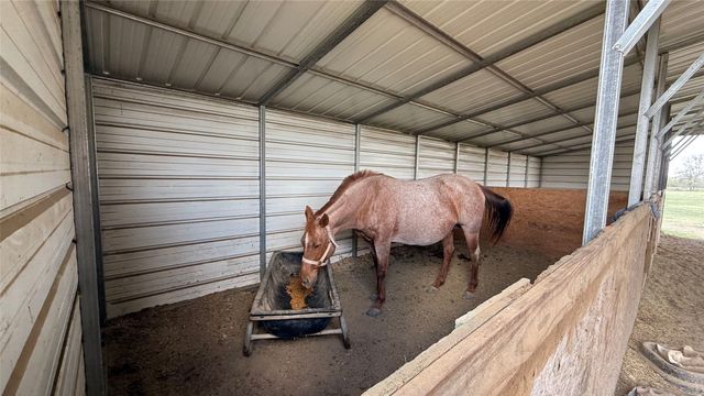 12845 Highway 6, Iredell, TX 76649