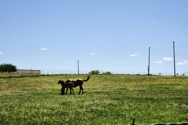 12845 Highway 6, Iredell, TX 76649