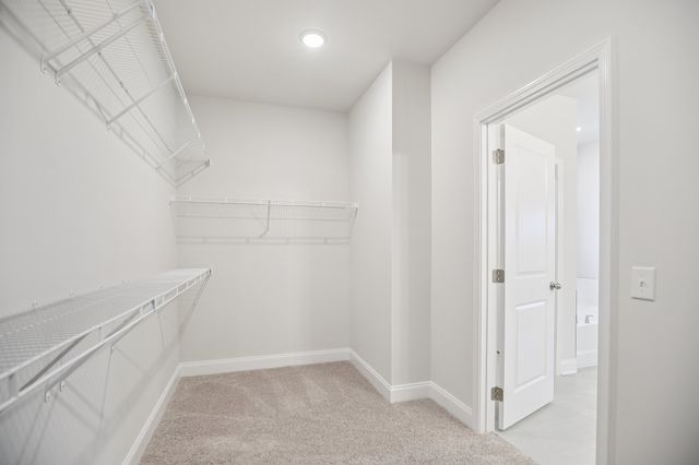 146 Emeline Way, Mount Juliet, TN 37122