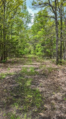 11375 NE 50 Road, Osceola, MO 64776