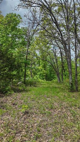 11375 NE 50 Road, Osceola, MO 64776