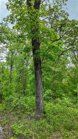 11375 NE 50 Road, Osceola, MO 64776