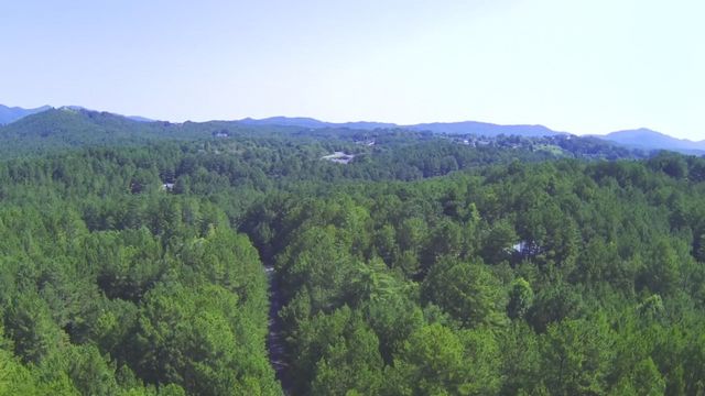 148 Pine View Lane, Copperhill, TN 37317