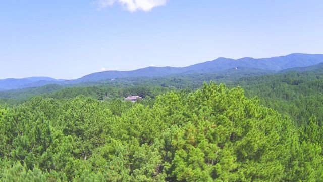 148 Pine View Lane, Copperhill, TN 37317